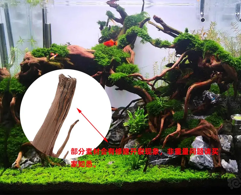 Mascot Pets Large Tree Root Driftwood Fish Tank Ornament