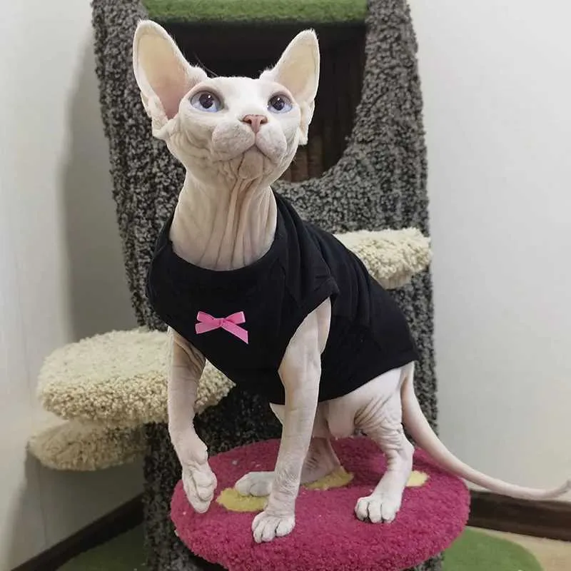 Sphynx Cat Dress With Bowtie Soft Cotton Black Skirt For Female