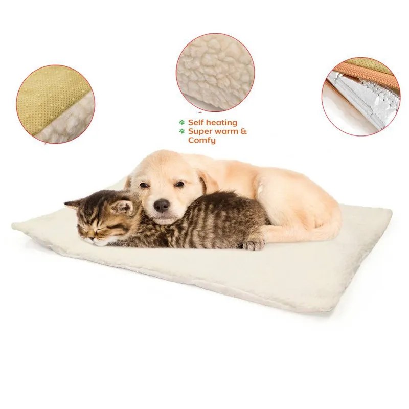Wholesale Cozy Winter Pet Self Heating Blanket For Dogs And Cats Fluffy Coral Cashmere Sleep Mattress Small To Medium Sizes Available Essential Dog Breeding Supplies From Hdseller Bulk 12.63 DHgate.Co...