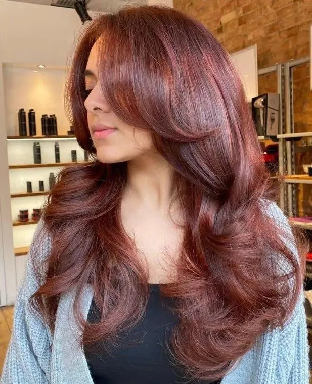 Wig not red Burgundy Lacefront human hair Blende Amazon.com : CHEETAHBEAUTY 99j Burgundy Lace Front Wigs  main image 3