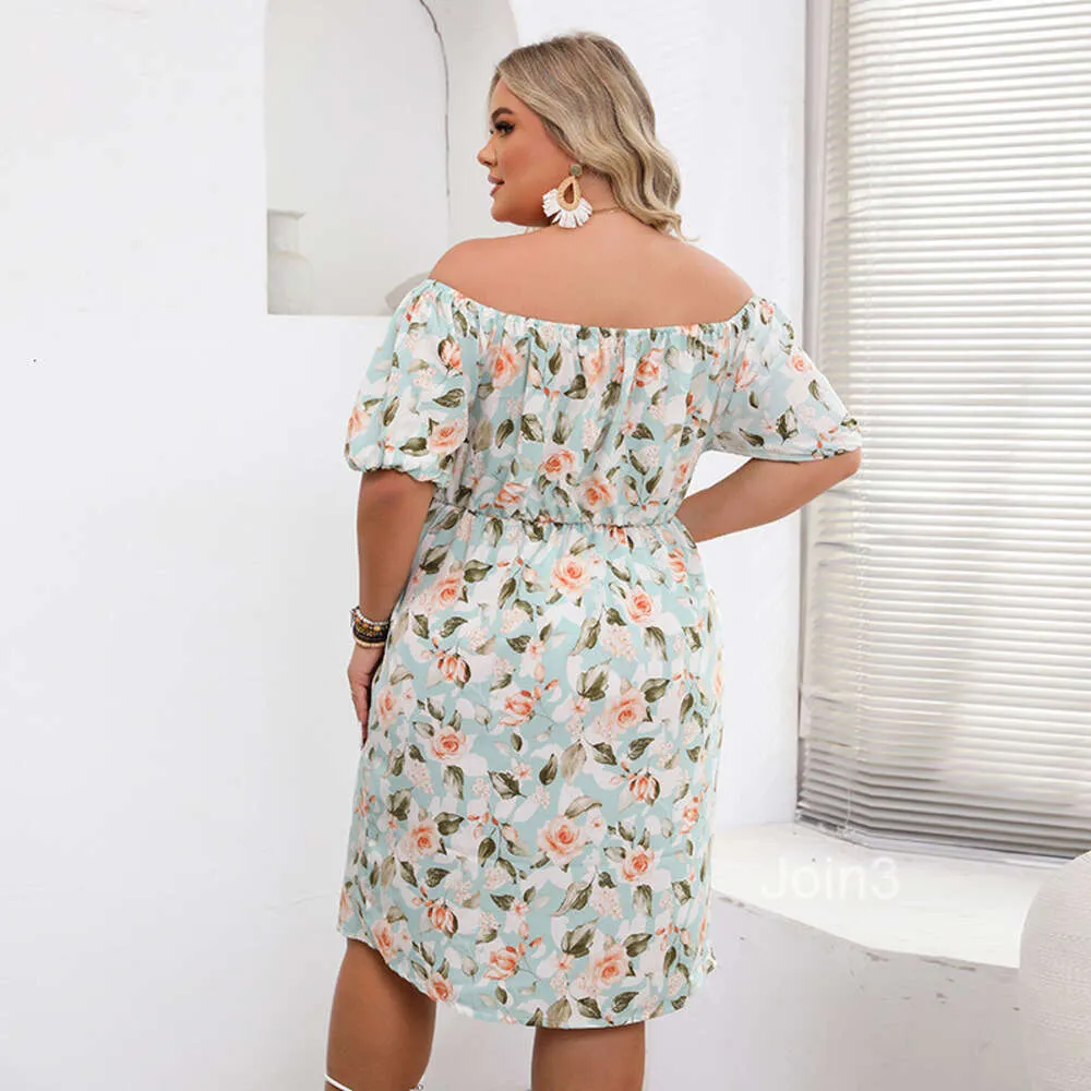 infinity dress plus size off shoulder Tulle Off Shoulder Maternity Gowns for Photography Plus Size YW2109 22W / N246