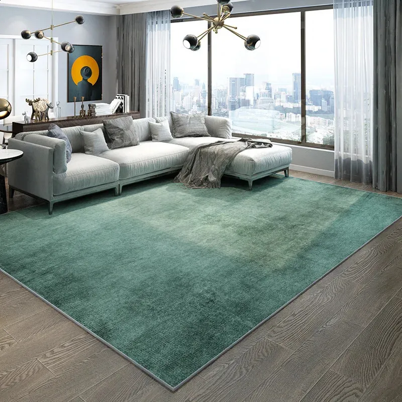 Korean Style Carpet For Living Room Plush Black White Sinple Thick