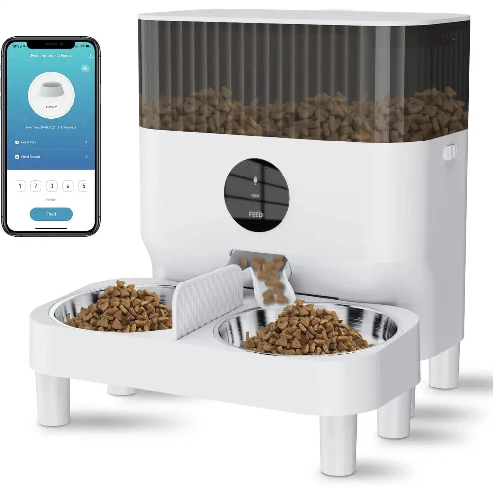 Cat timed feeding bowls online
