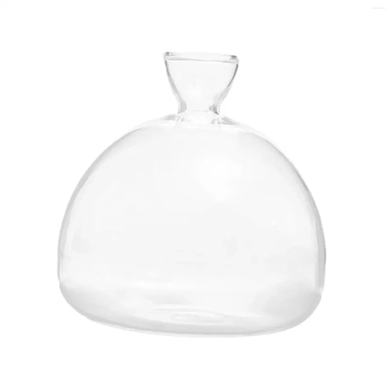 Vases Vase de démarrage de graines d'avocat en verre transparent pour filles d'anniversaire