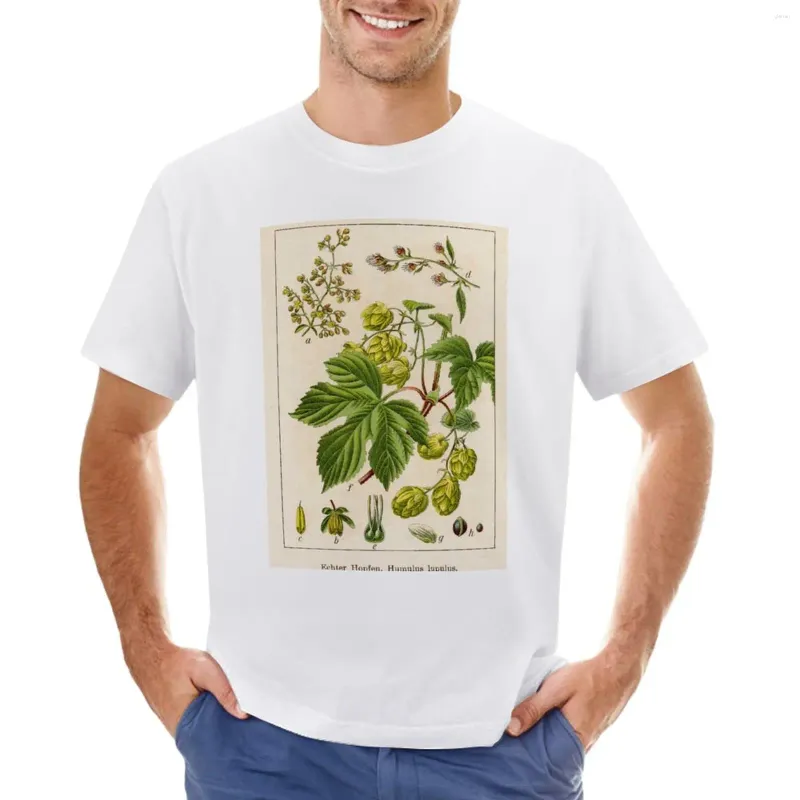 Men's Polos Vintage German Botanical Illustration - Humulus Lupulus (hop) T-Shirt Blanks Boys Animal Print Sweat Plain White T Shirts Men
