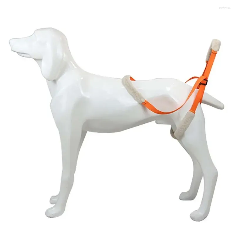 Dog Apparel Joint Injury For Elderly Help Weak Legs Rear Recovery Sling Pet Supplies Support Harness Auxiliary Belt