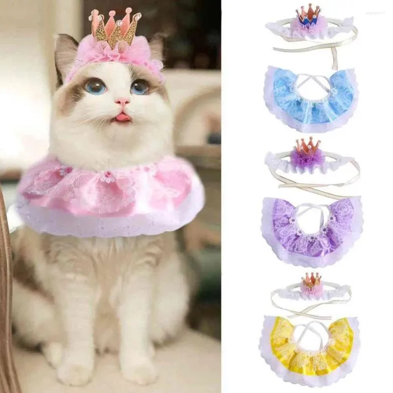 Hundkläder Creative Party Supplies Cat Accessories Födelsedag huvudbonader valpar hat halsduk Pet Crown