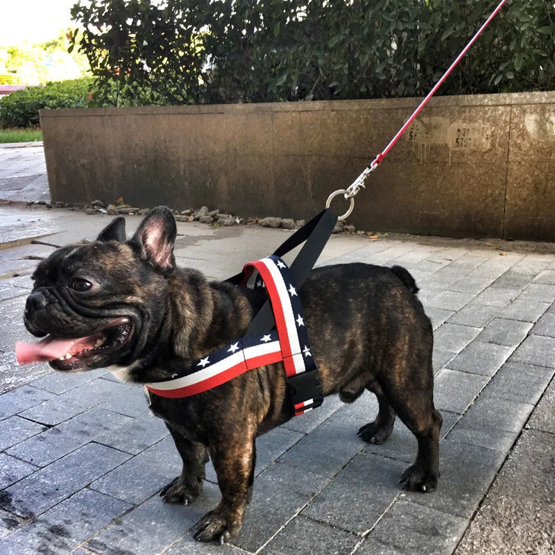 Save Big on Bulk Designer Dog Harness And Leash Dog Harness Vest:  Comfortable Pet Walking Vest With Secure Chest Harness Lightweight Designer  Dog