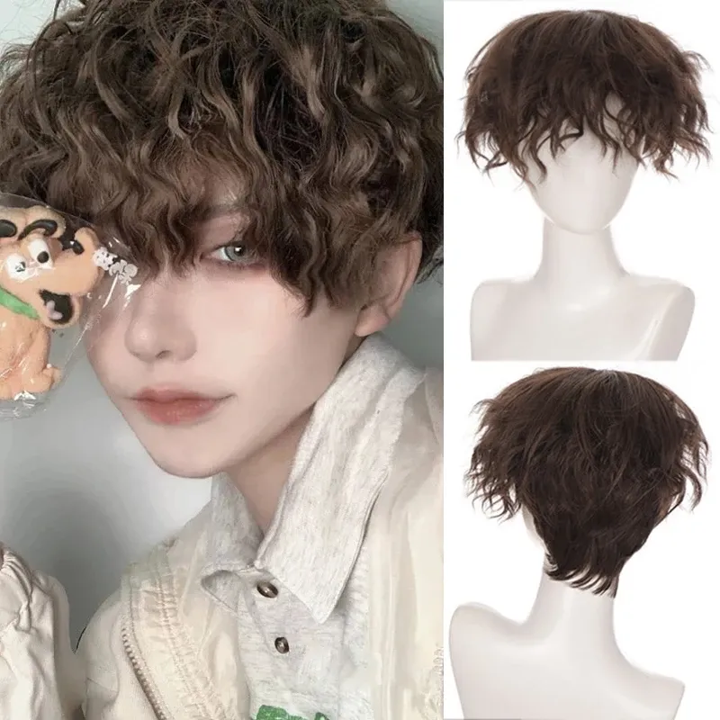 Wigs Ailiade Male's Wig Fashion Short Curly Brown Cosplay Costume Anime Halloween Synthetic With Bangs for Men Women Boy Fake Hair