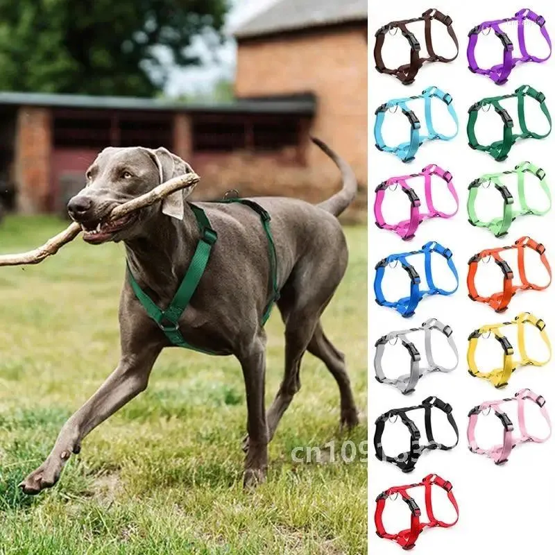 Husky H-Shaped Dog Harness with Leash Durable Nylon Chest Strap for  Medium Large Dogs