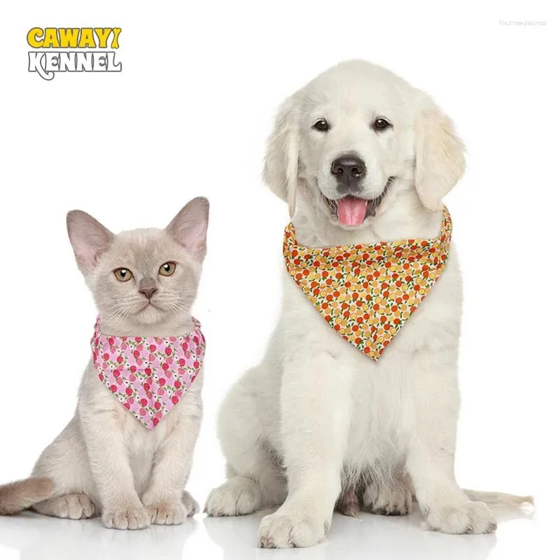 Vêtements pour chiens Motif de fruits Pet Triangular Bandage Décoration Party Saliva Serviette pour petit chat imprimé Triangle Écharpe Accessoires