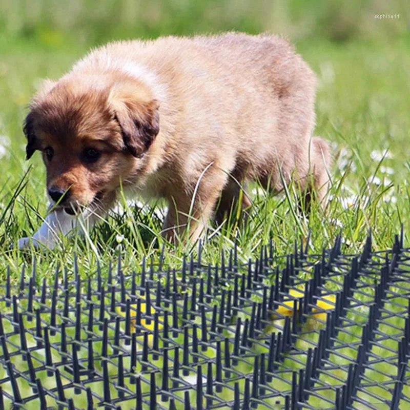 Wholesale Green Cat Carrier Net Repellent Mat 200 400cm Garden Anti Cat Protection With Safe Plastic Spike Thorn Deterrent Pet Products At Only 11.86 DHgate.Com