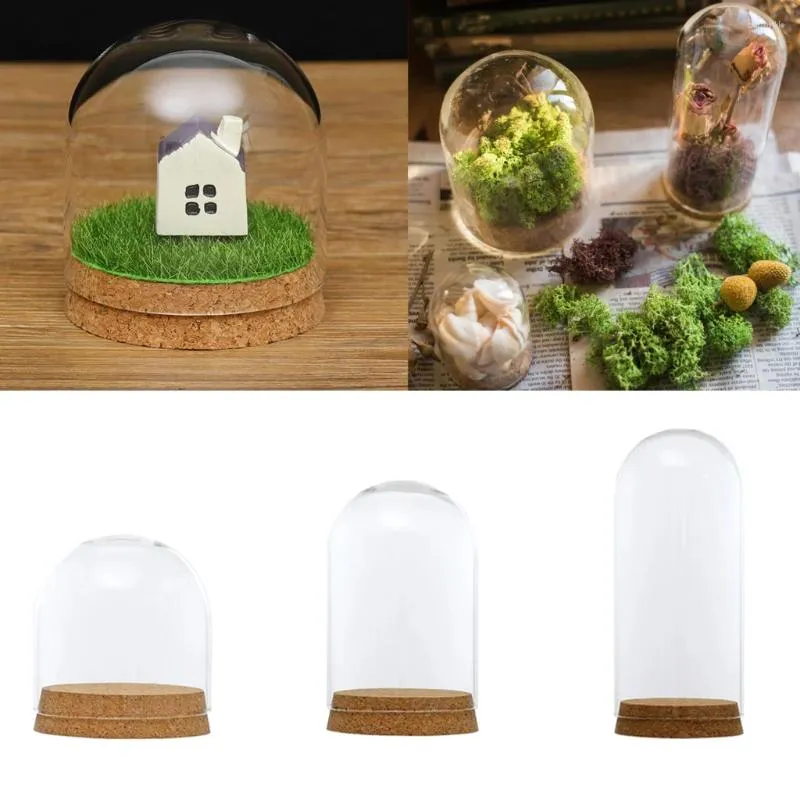 Vases en verre transparent, couvercle de dôme, Cloche, pot de cloche, Terrariums succulents avec liège en bois pour la maison, le bureau, la décoration de Table, bricolage