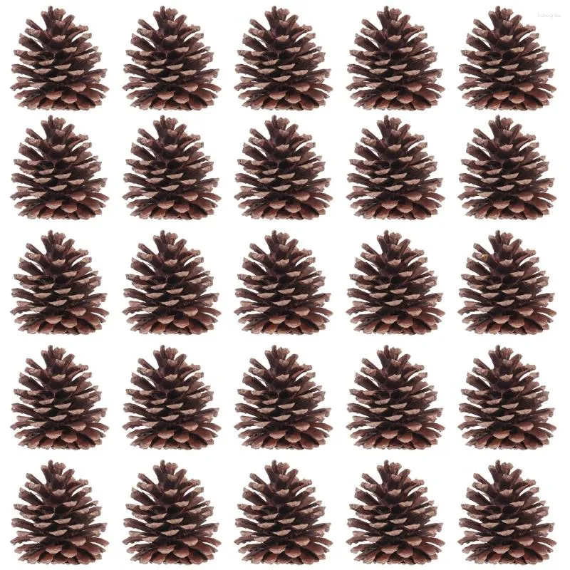 Vases TOYMYTOY 50pcs 6-8cm Christmas Natural Pine Cones Pinecone Decor Xmas Tree Decoration Crafts Home House Kitchen Winter