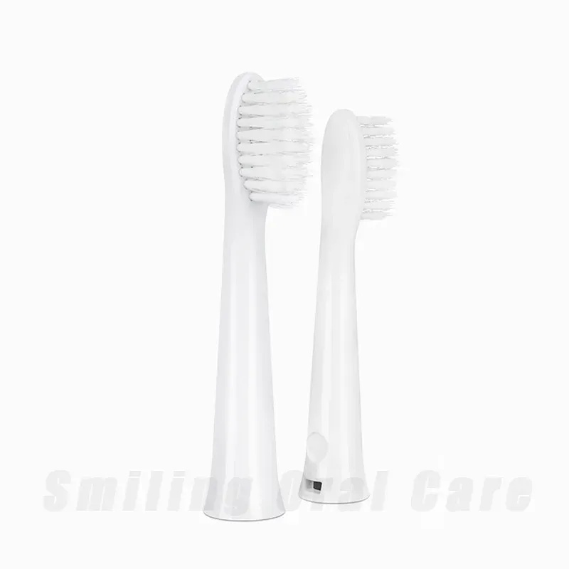 Cabeças de escova de dentes de reposição Panasonic wew0972/ew-dm71/dm711/dm712/pdm7b/dm61/dc01/mdb3a/dm31 push de cerdas dupont