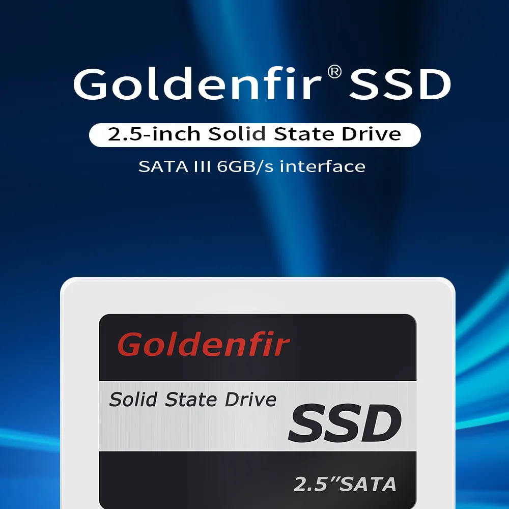 Goldenfir SATA III Internal Solid State Drive SSD 128GB 256GB