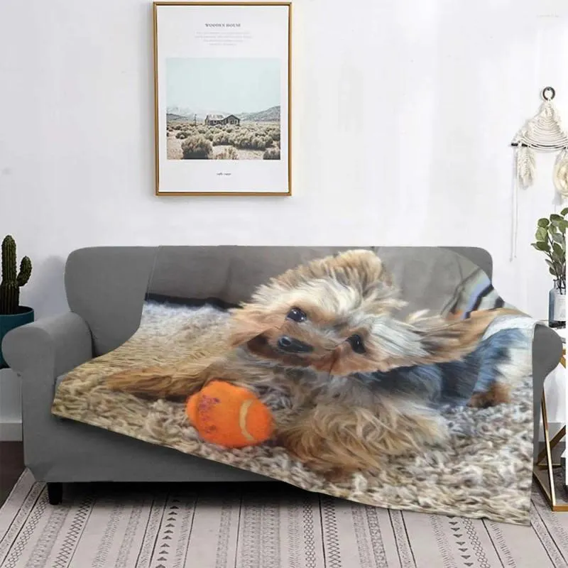 Cobertores Yorkshire Terrier Rosa Cobertor Colchas para Cama Gamer Cobertura Acolchoada Piquenique Cama Infantil Flanela