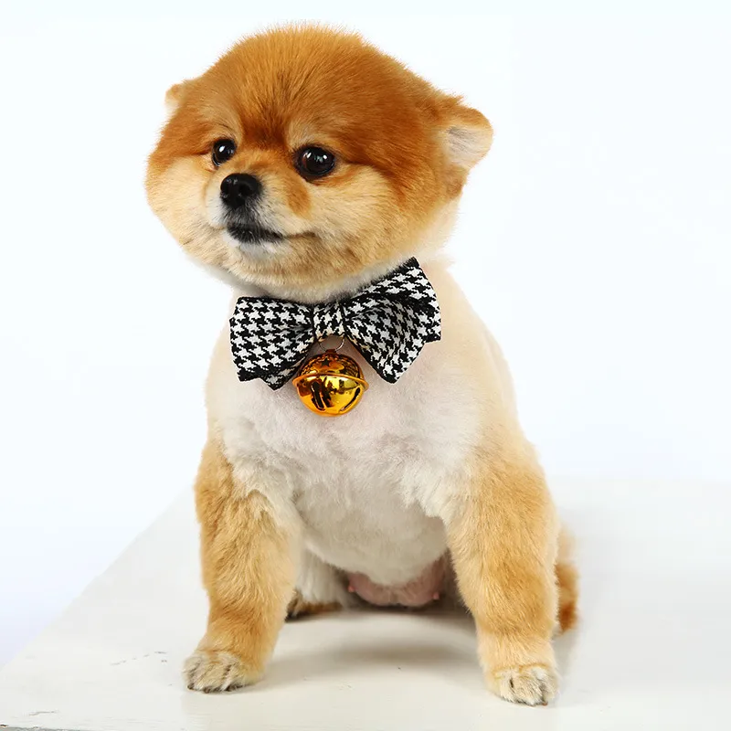 small dog collar with bow tie