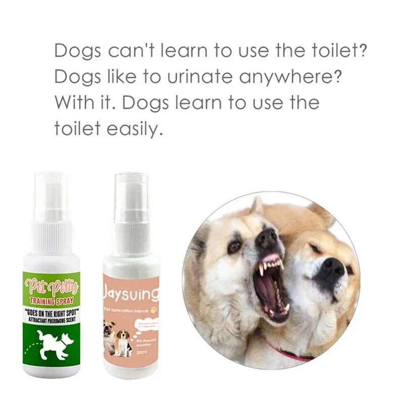 Spray My Puppy Will Not Go Potty Outside Dog Peeing My Dog Will