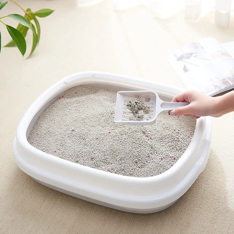 Cat poop tray online