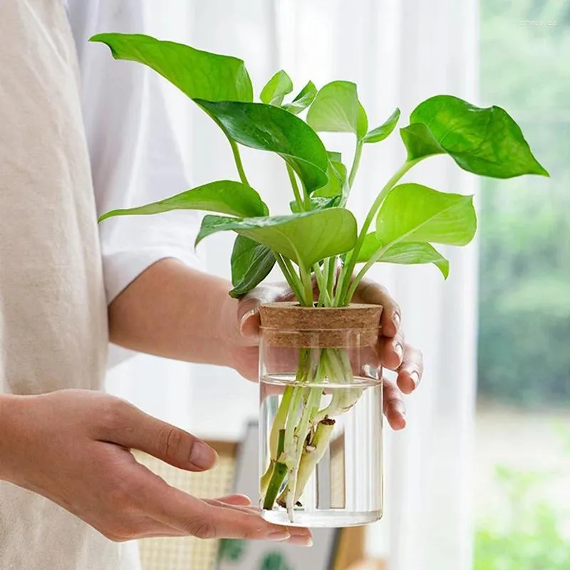 Vasi Mini vaso da fiori idroponico Vaso per la casa Decor Bottiglia ecologica in vetro trasparente per piante fuori suolo con tappo in legno