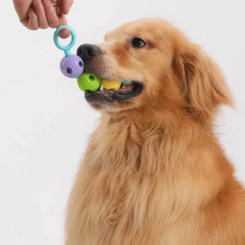Neues Spielzeug zum Zähneknirschen für Hunde, selbstentlastendes Werkzeug, Haustierbedarf für mittelgroße Hunde, Anti-Biss-Kleber