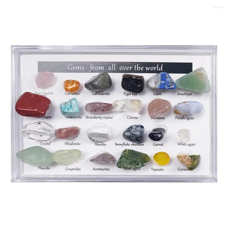 Decorative Figurines 24Pc Rock & Mineral Collection With Collector Box/Display Case ID Sheet Gemstone Crystal Kit STEM Geology Science