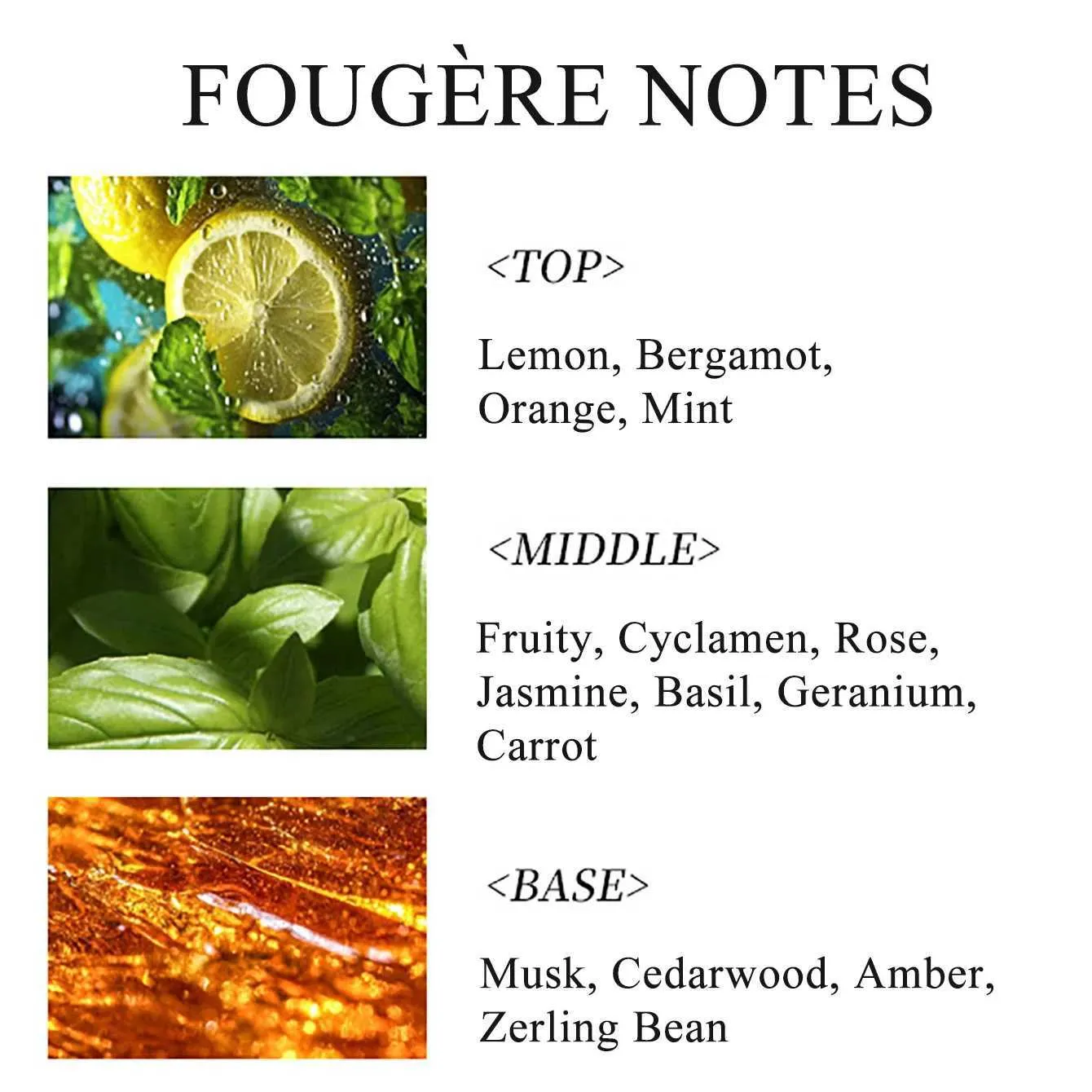 Mens Fougere Perfume with Amber, Lemon, Mint & Rose Musk