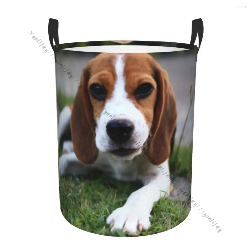 Waszakken Badkamermand Leuke Beagles Opvouwbare mand Kledingorganizer