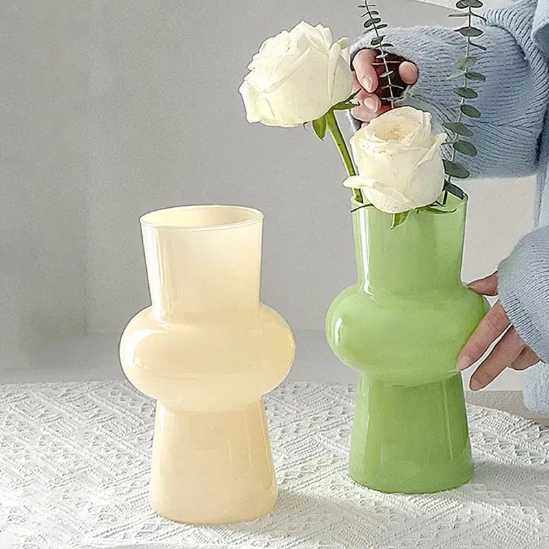 Glass Flower Vase Decoration Home Modern Decorative Vases Hydroponics Plant Bottle Vase For Flower in Ho Chic Desktop Ornament 240329