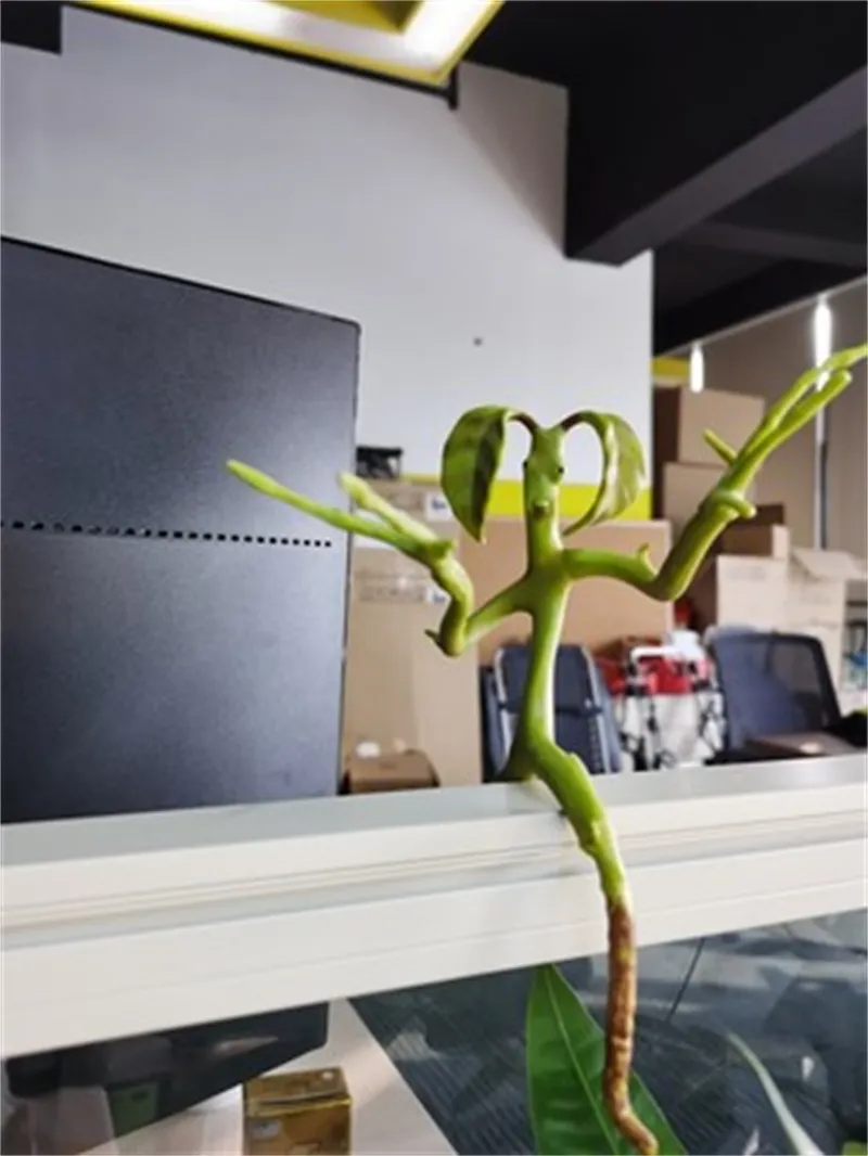 Bendable Bowtruckle Pickett Flexible Toy from Fantastic Beasts 2