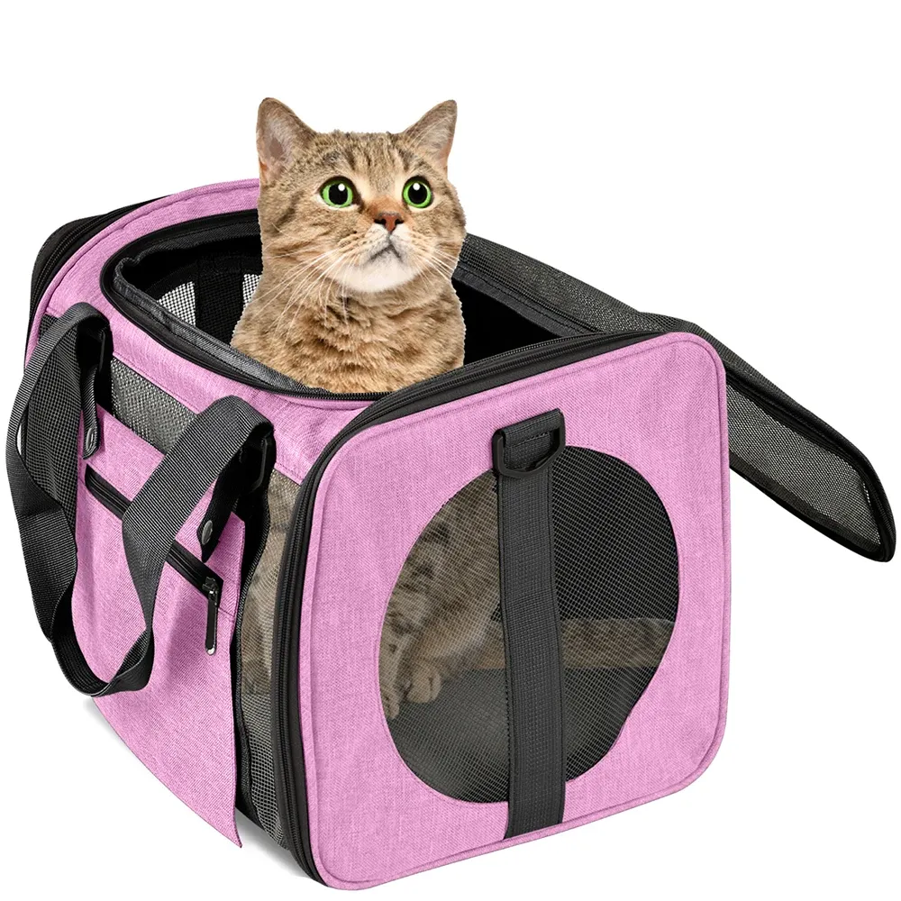 Guitar Cat Backpack Soft Sided Pet Carrier Bag Cat Transport Bag with Mesh Window Airline Approved Carrying Backpack for Cats and Dogs