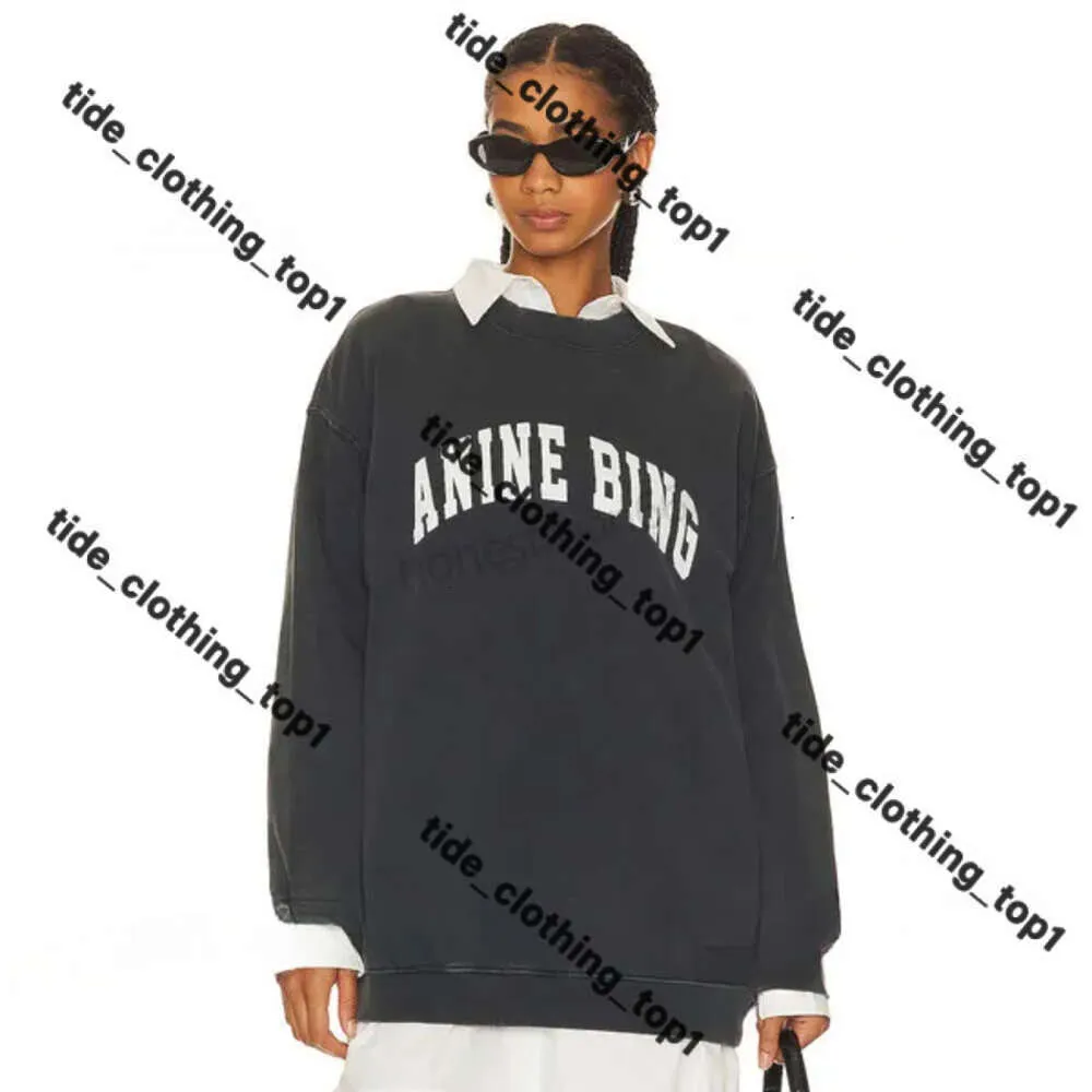 Annies Bing Hoodie Tasarımcı Sweatshirts Siyah Aninebing Hoodie Sport Klasik Mektup Pamuk Kazak Jumper Geçici Ab Hoodie Kadın Anine Bung Hoodie Anine Hoodie 16