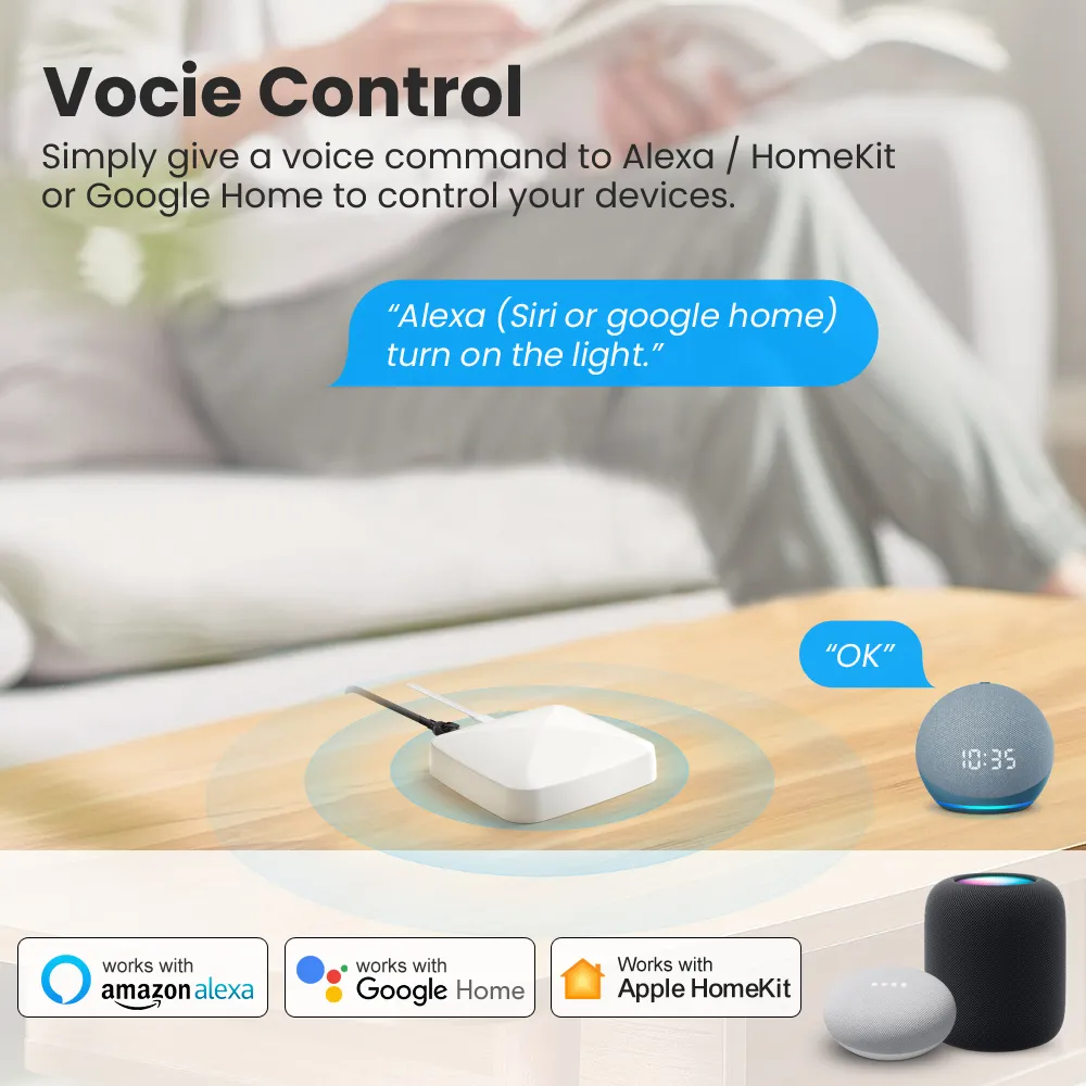 Alexa Google Assistant Homekit Google Home Hub Homekit ZigBee