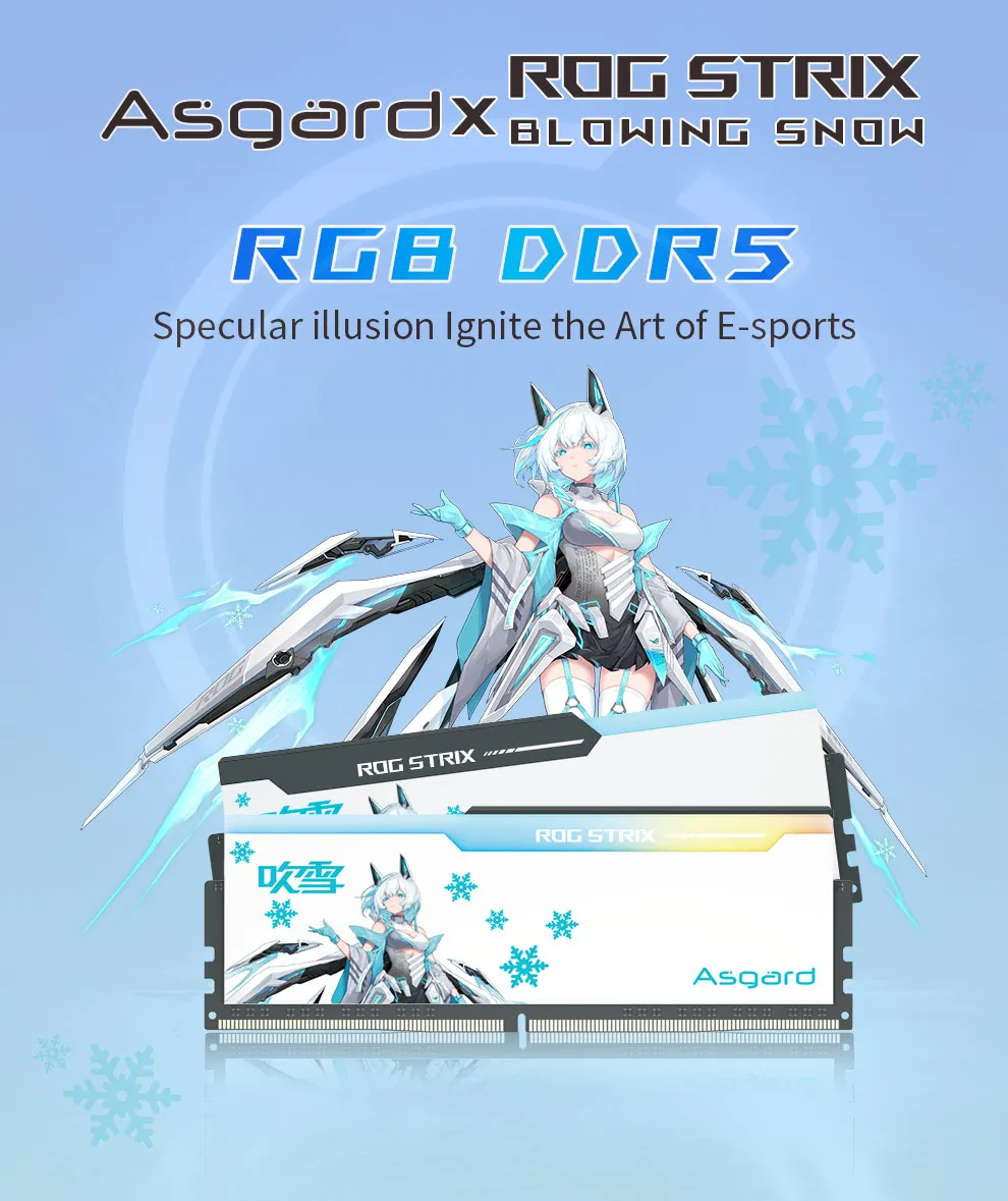 Asgard DDR5 RAM 32GB 16GBx2 6000/6400/6800MHz RGB Memory