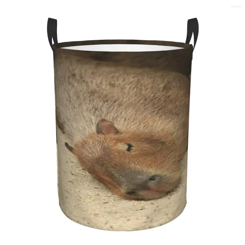 Laundry Bags Dirty Basket Sleeping Capybaras Folding Clothing Storage Bucket Toy Home Waterproof Organizer
