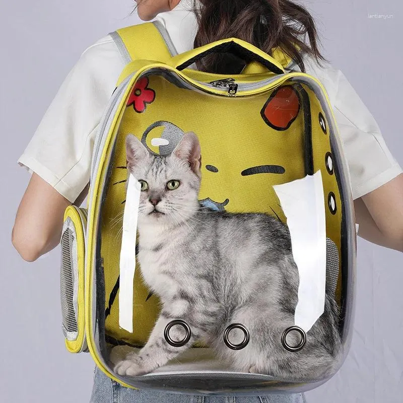 Porteurs de chats mignons grands extérieurs transportant un sac de voyage d'espace respirant portable transparent transparent porte-animal petit chiens chiot sac à dos