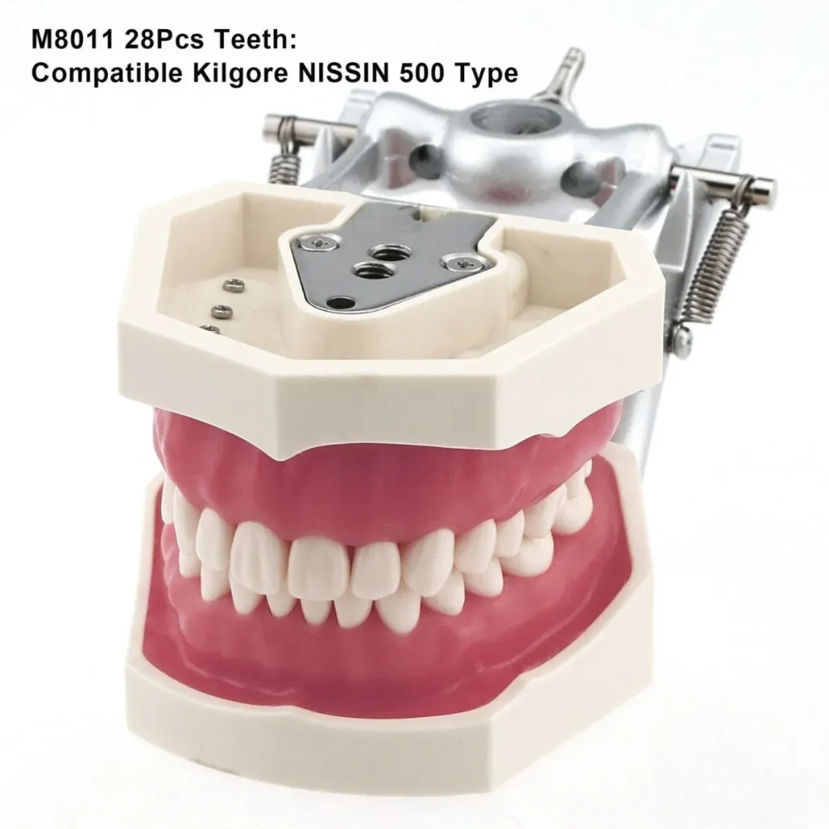 655e4bec-f2fa-4e94-a8a4-  display picture 1
