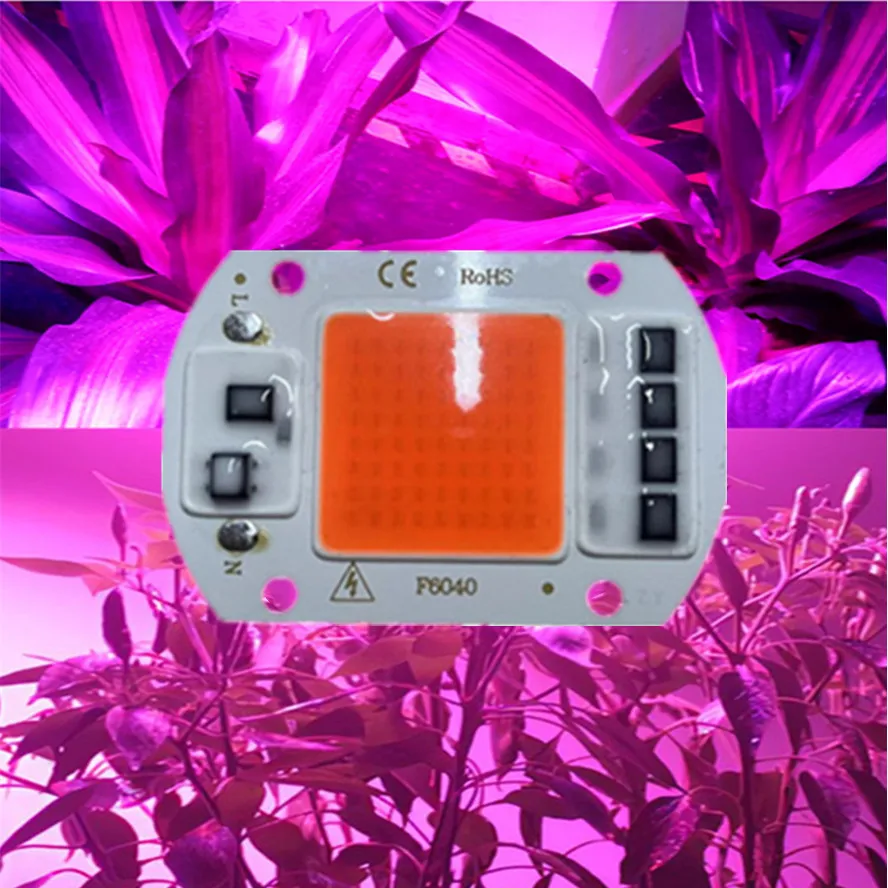 COB LED Grow Light Full Spectrum No Driver Needed for Flowers from ...