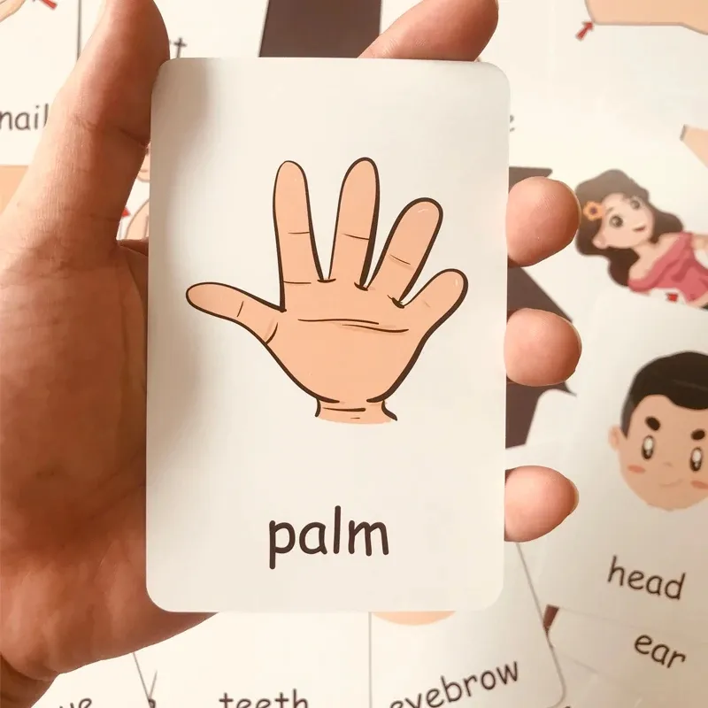 Montessori Kids English Words Flashcards Early Learning Educational ...