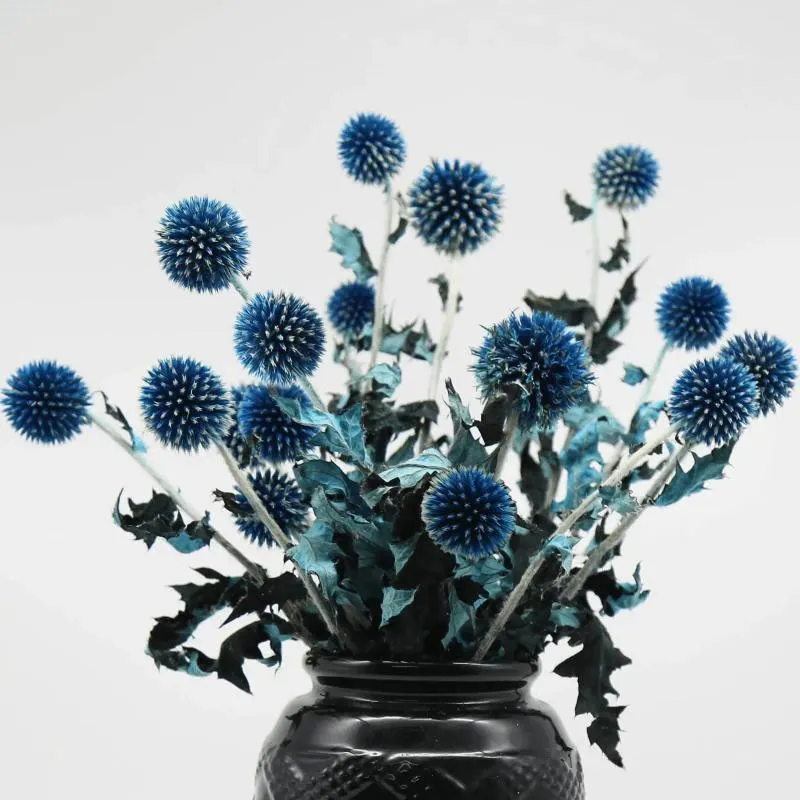 Dekorativa blommor 20 bollar torkad blå tistel bukett bevarad echinops globe blomma för bröllop boho heminredning diy blommor arrangemang