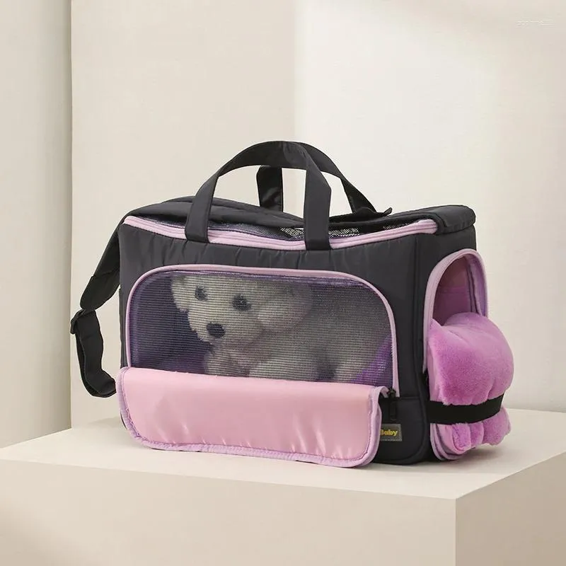 Sac de transport pour animaux de compagnie, sac à main en maille respirante pour voyage d'été, sac à bandoulière transfrontalier pour chat, Version coréenne du Spot