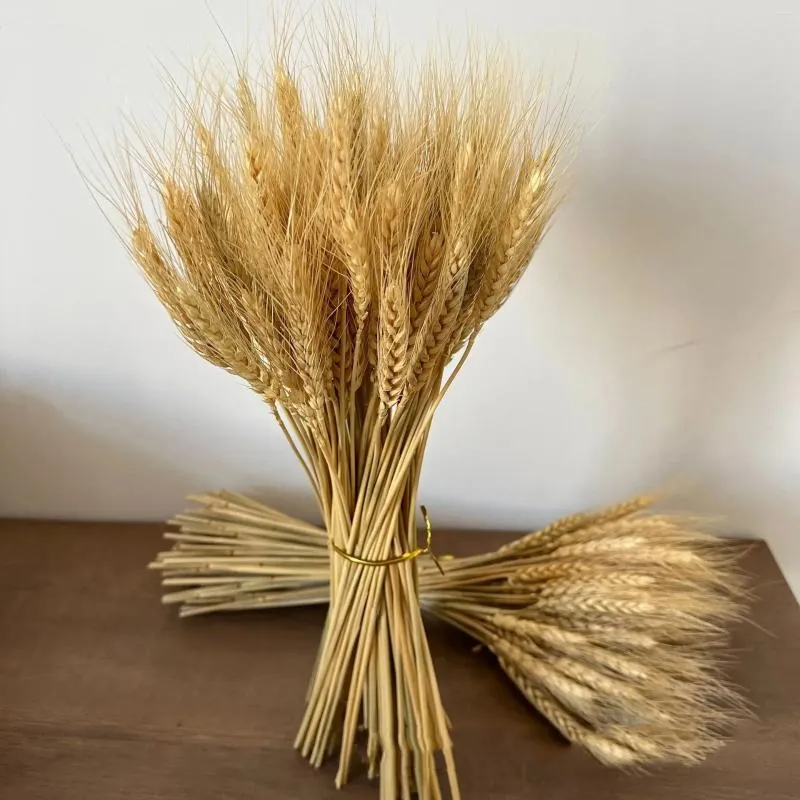 Декоративные цветы настоящие пшеницы цветочные цветы натуральный сушен