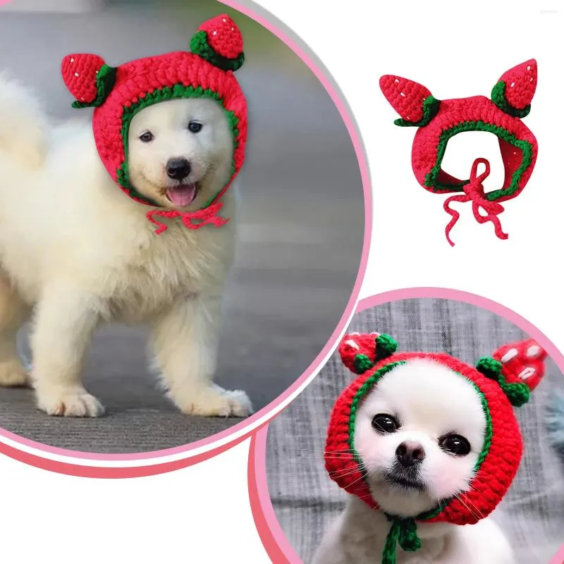 Vêtements pour chiens heureux pour les costumes de chiens mignons chapeau de fraise chat à main