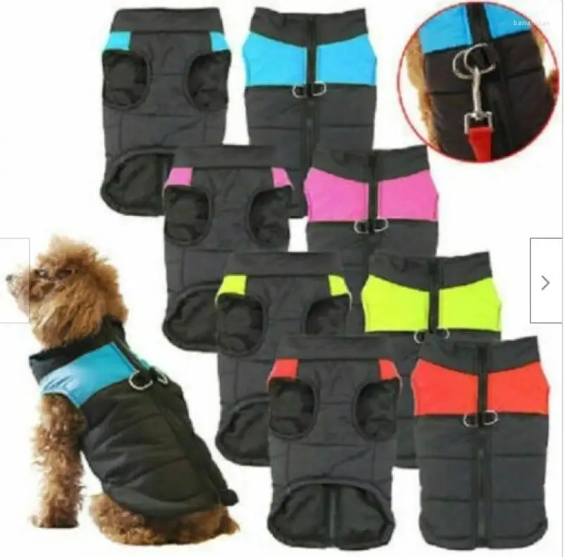 Abbigliamento per cani 1pc giacca da pet per animali