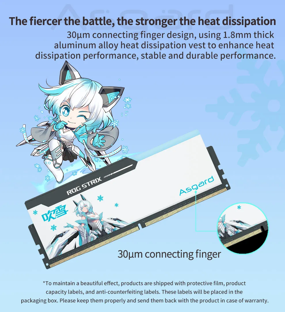 Asgard DDR5 Desktop Memory Strip 32GB 16GBx2 6000MHz 288-Pin RGB