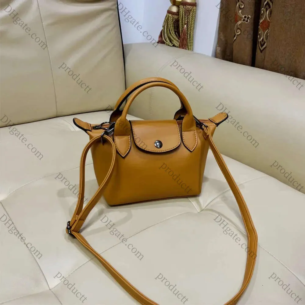 2024 2024 NOUVEAU MIGLE EXQUISITE Cuir Dumpling Sacigner designer Solid Minies Crossbody Sac Shopping Travel Sac à bandoulière