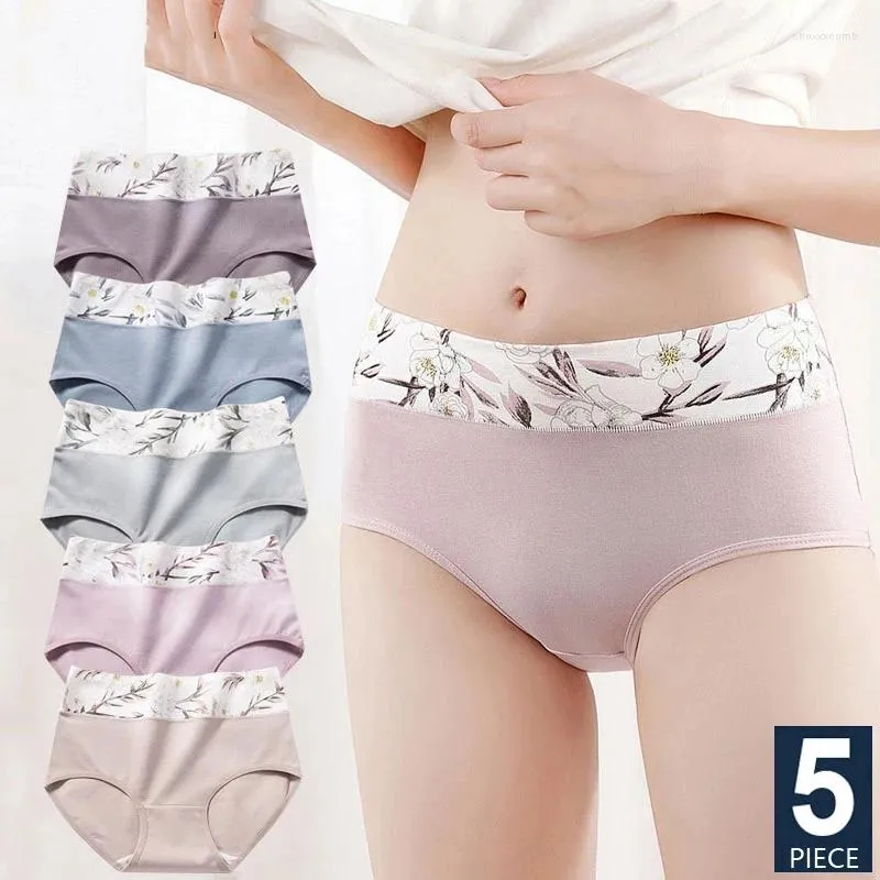 Culotte de femmes 5pcs / ensemble hauteur coton coton du corps des femmes minces sous-vêtements respirants mignons imprimés brut