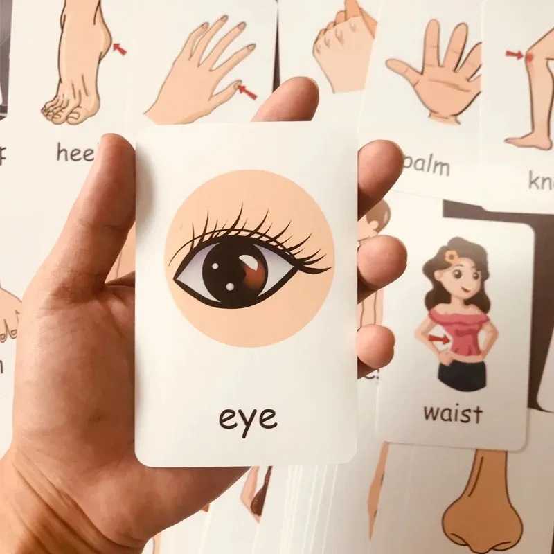 Montessori Kids English Words Flashcards Early Learning Educational ...