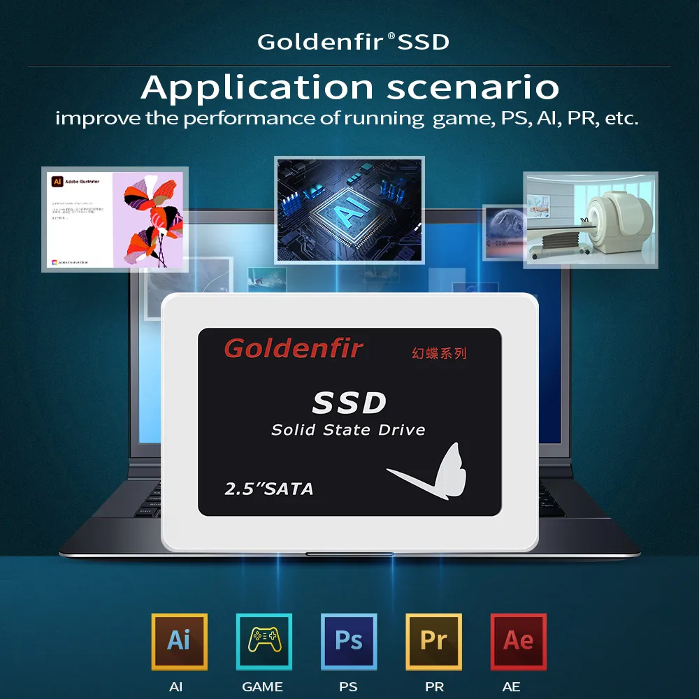 SSD 1TB 内蔵型 2.5インチ 新品 Goldenfir D800 DHgate.com:Goldenfir D800 SATAIII 2.5 SSD: Store More